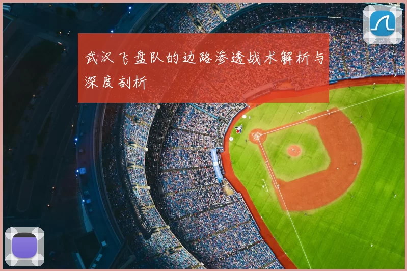 武汉飞盘队的边路渗透战术解析与深度剖析