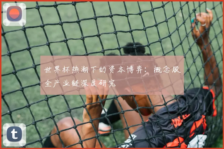 世界杯热潮下的资本博弈：概念股全产业链深度研究