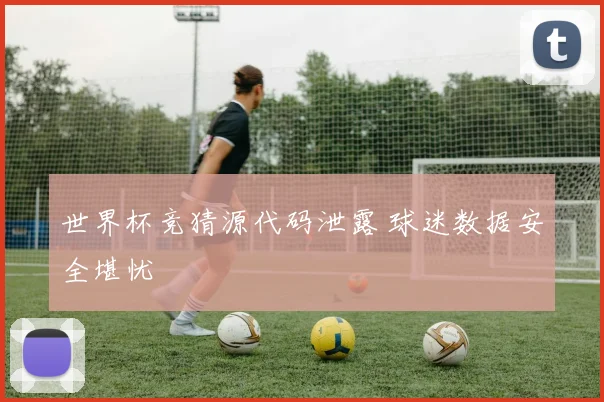 世界杯竞猜源代码泄露 球迷数据安全堪忧