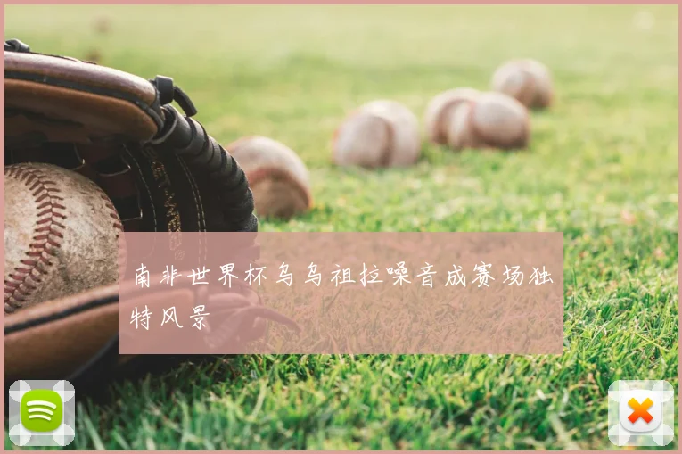 南非世界杯乌乌祖拉噪音成赛场独特风景