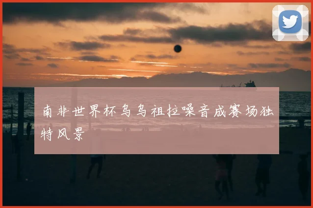 南非世界杯乌乌祖拉噪音成赛场独特风景