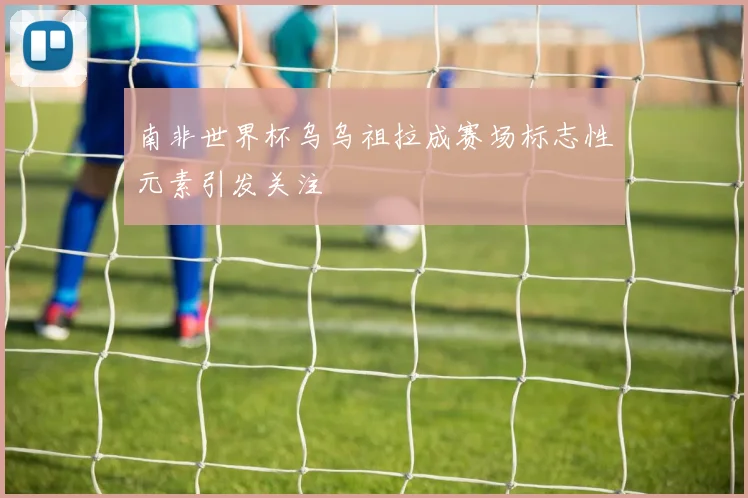 南非世界杯乌乌祖拉成赛场标志性元素引发关注