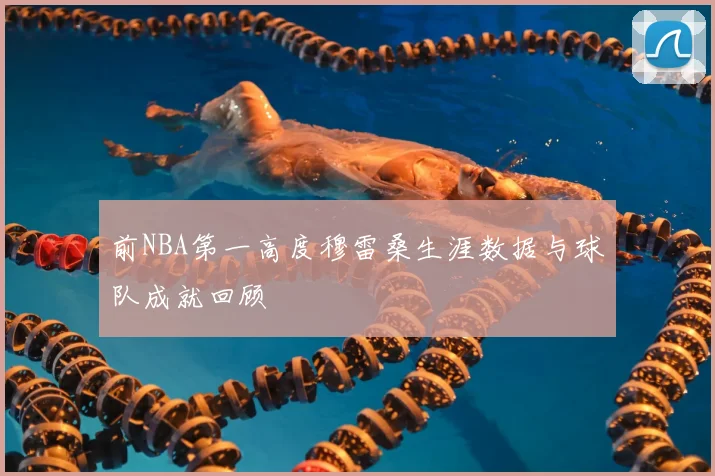 前NBA第一高度穆雷桑生涯数据与球队成就回顾