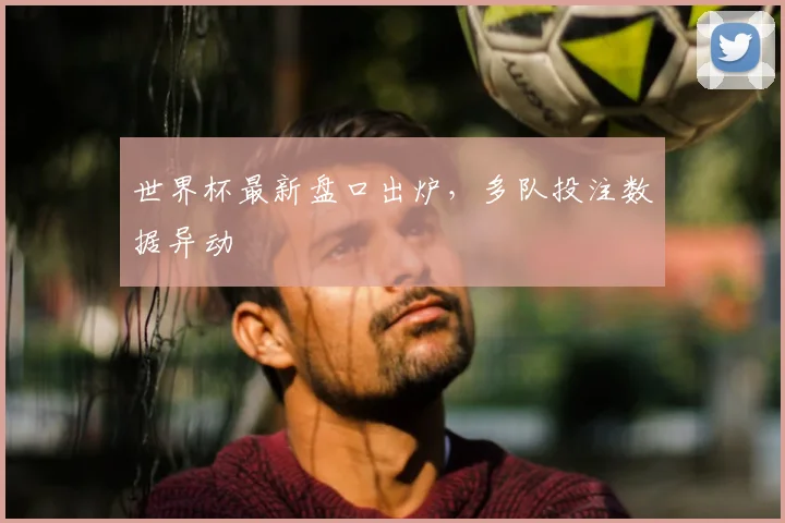 世界杯最新盘口出炉,多队投注数据异动