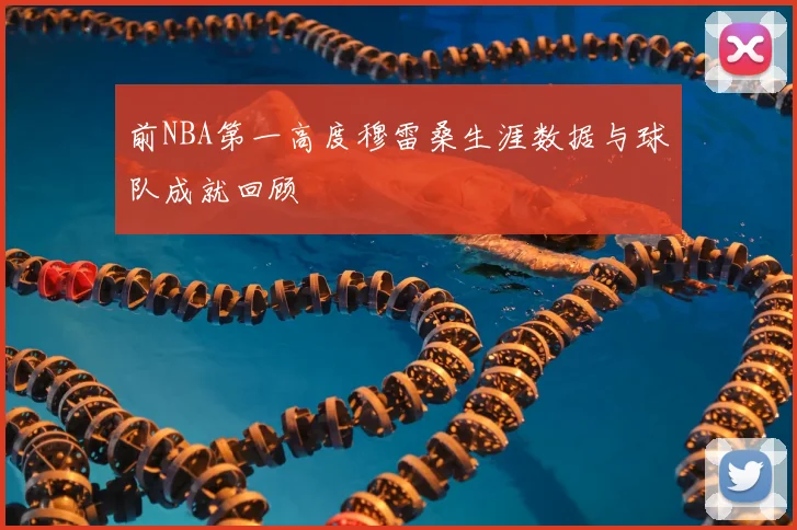 前NBA第一高度穆雷桑生涯数据与球队成就回顾