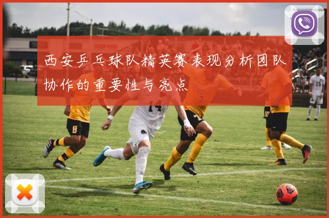 西安乒乓球队精英赛表现分析团队协作的重要性与亮点