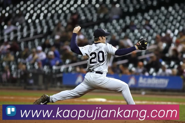 华体会官网平台生态图