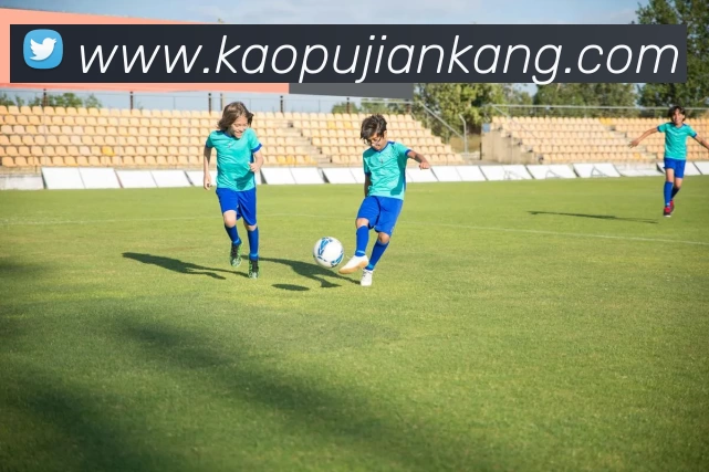 华体会官网APP 封面图